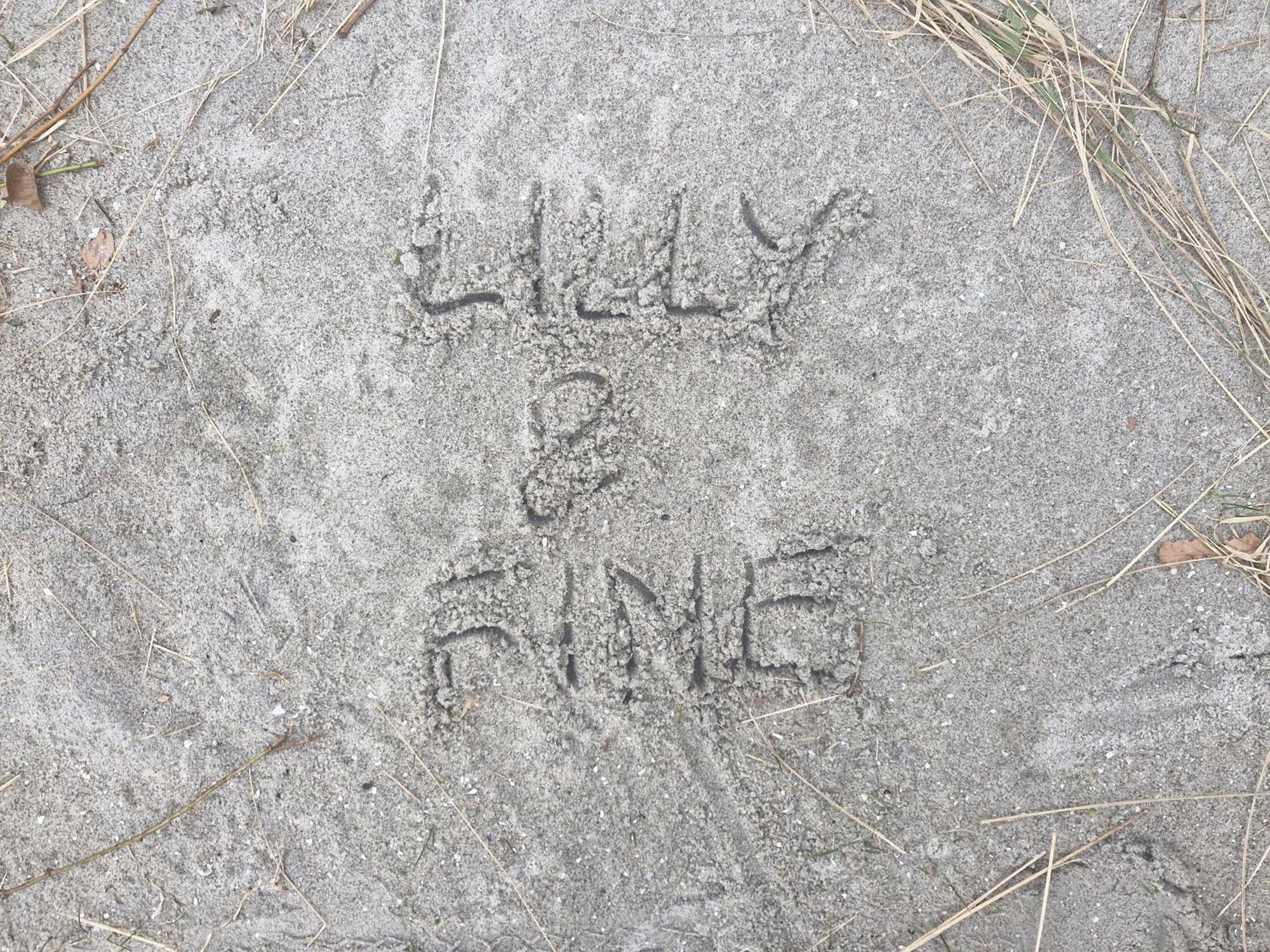 Lilly & Fine Apartment Zingst Luaran gambar