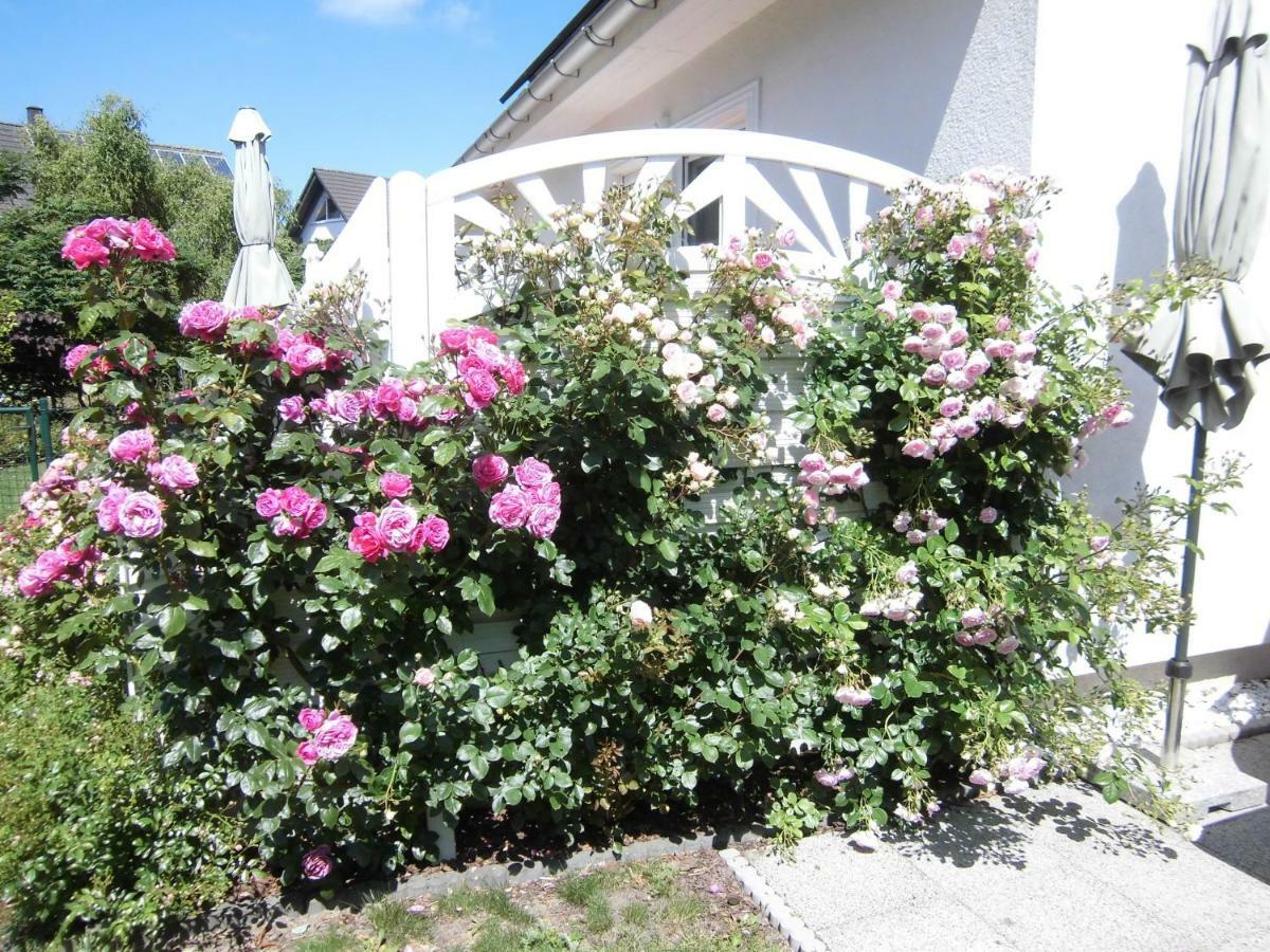 Lilly & Fine Apartment Zingst Luaran gambar